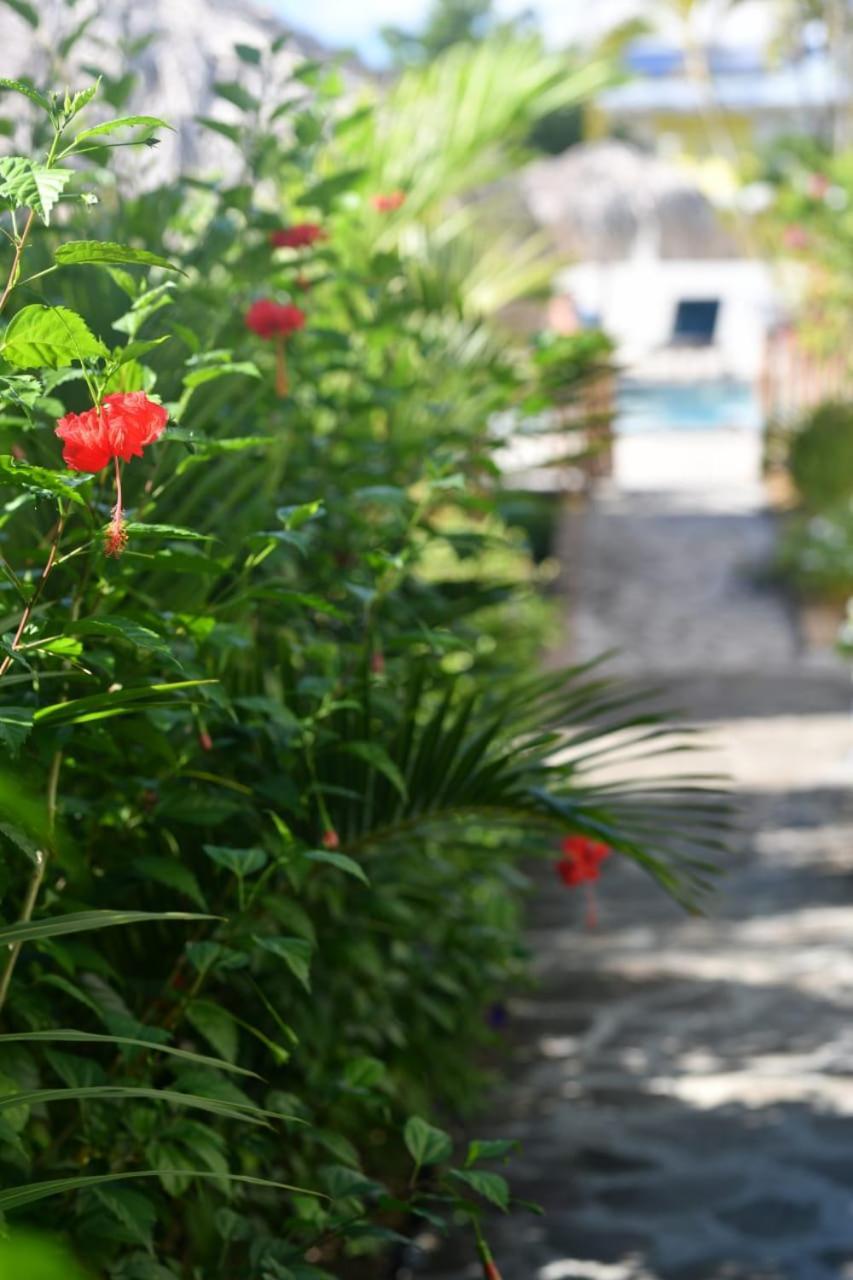 Hotel Iloma Sainte-Luce Ngoại thất bức ảnh