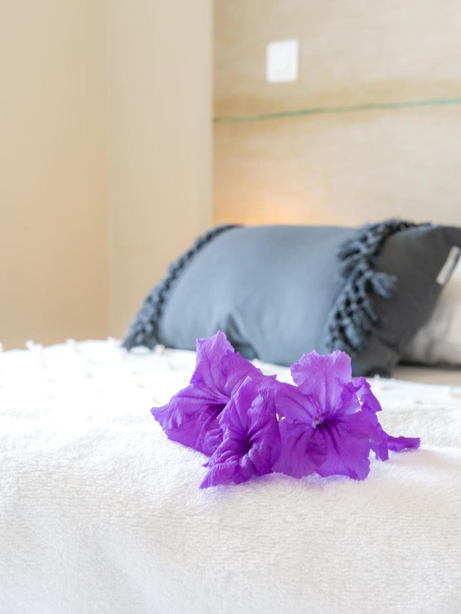 Hotel Iloma Sainte-Luce Ngoại thất bức ảnh